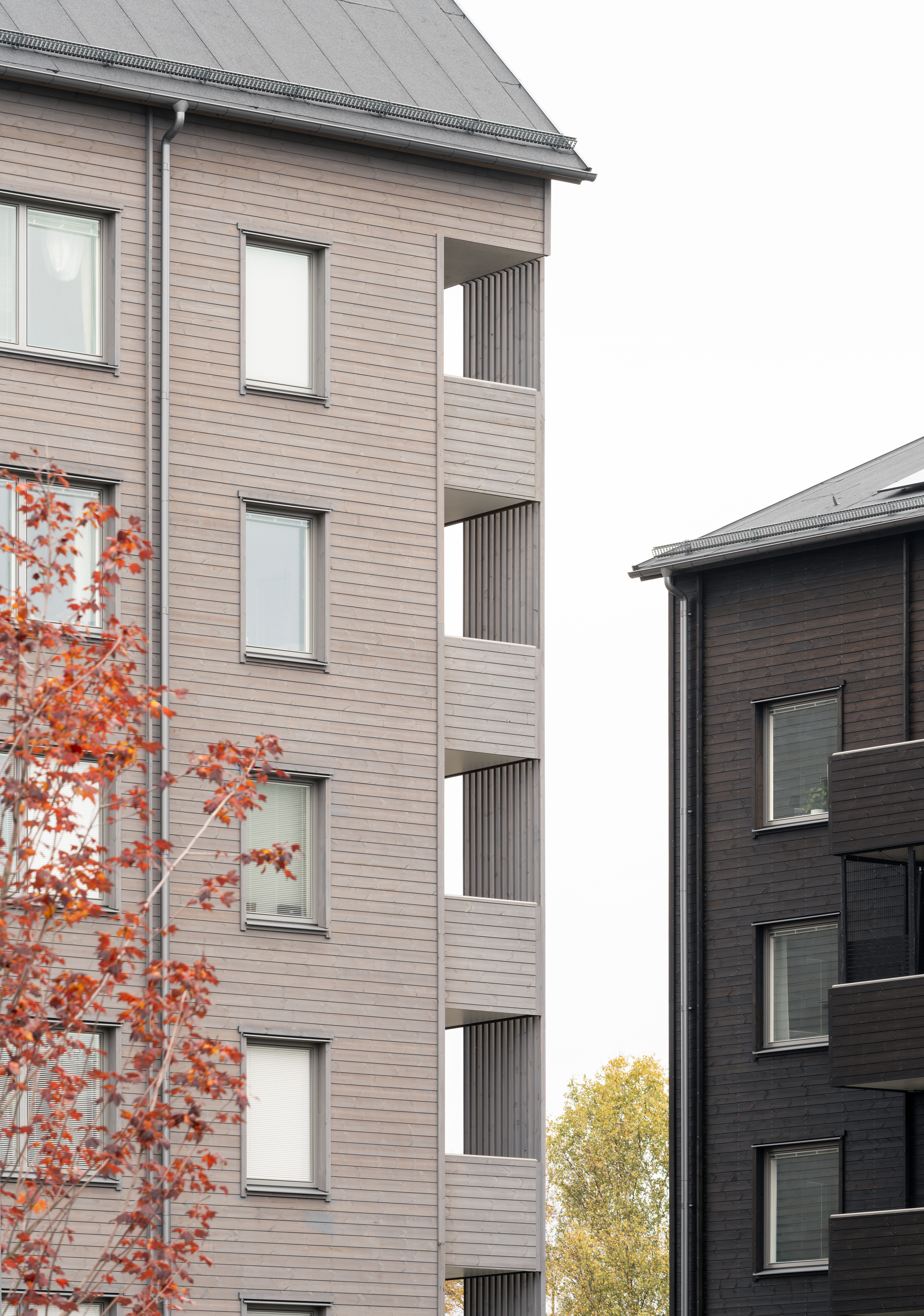 Älvdansen Johan Eldrot 5