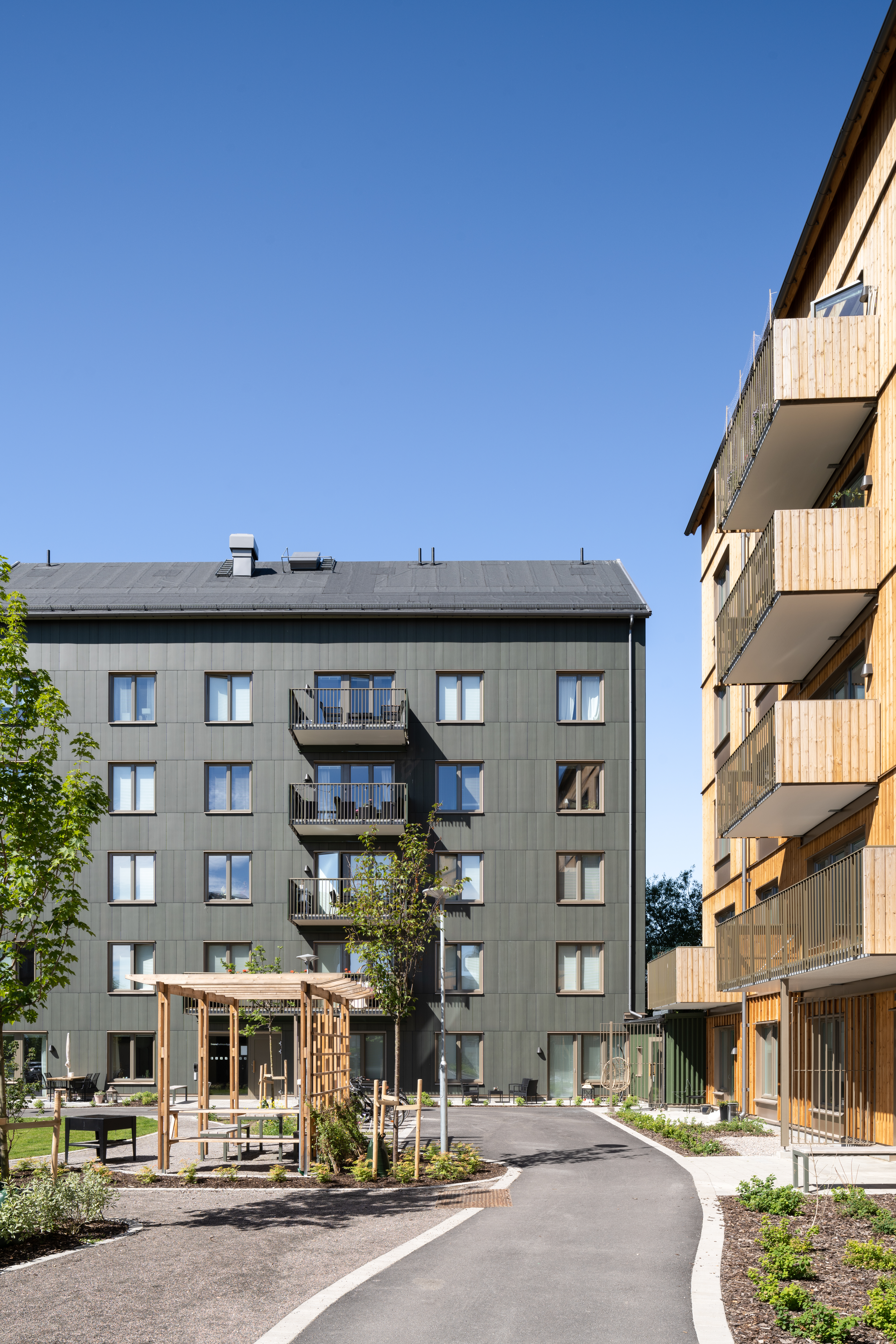 Jakten Skärm Foto Johan Eldrot 12