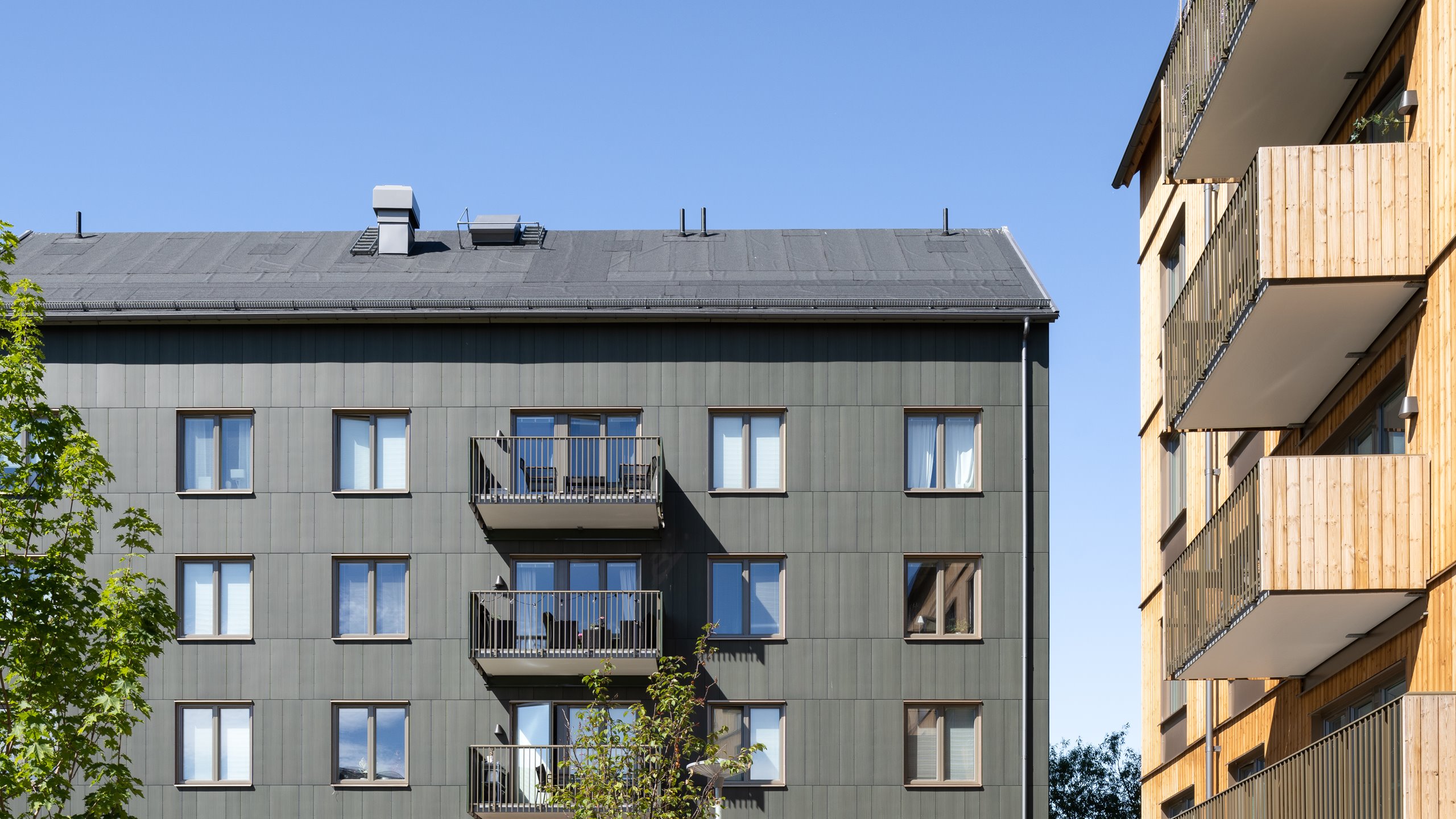 Jakten Skärm Foto Johan Eldrot 12