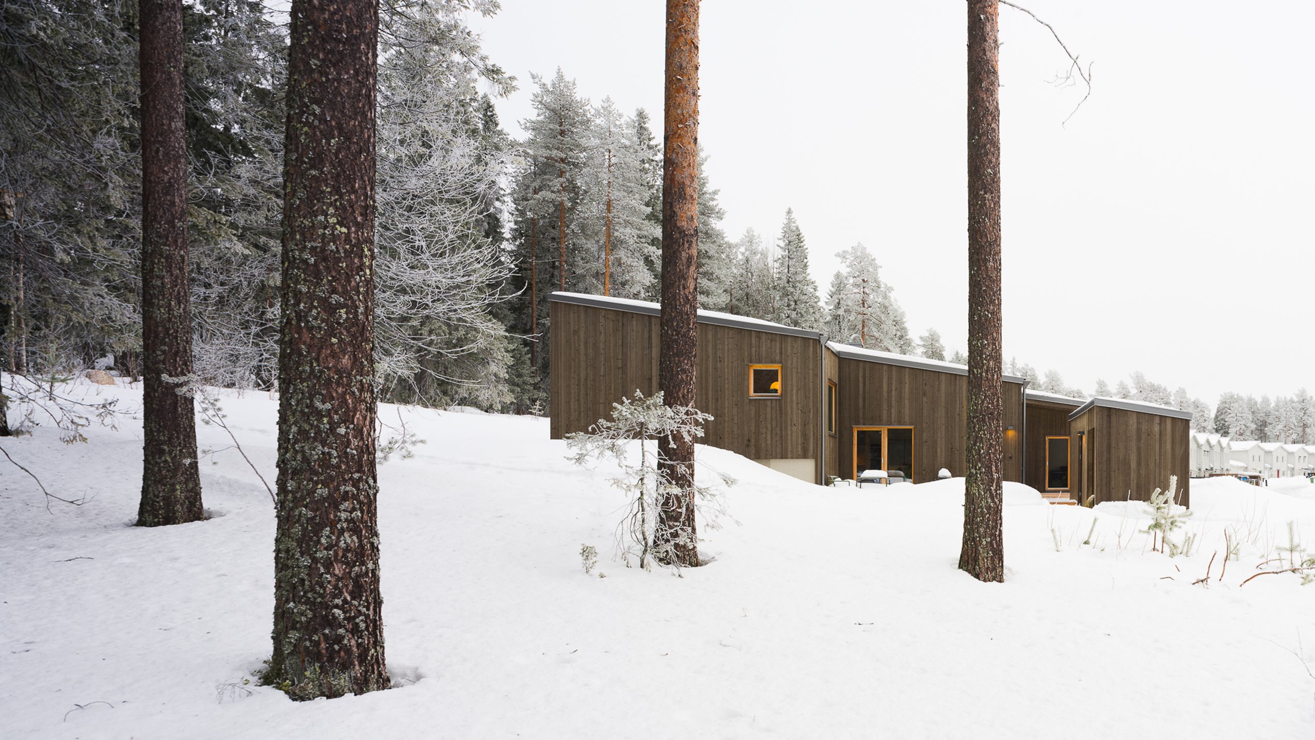 Villa Kronanbacken, skog. Hemma hos arkitekten. Eljest. Josefina Nordmark