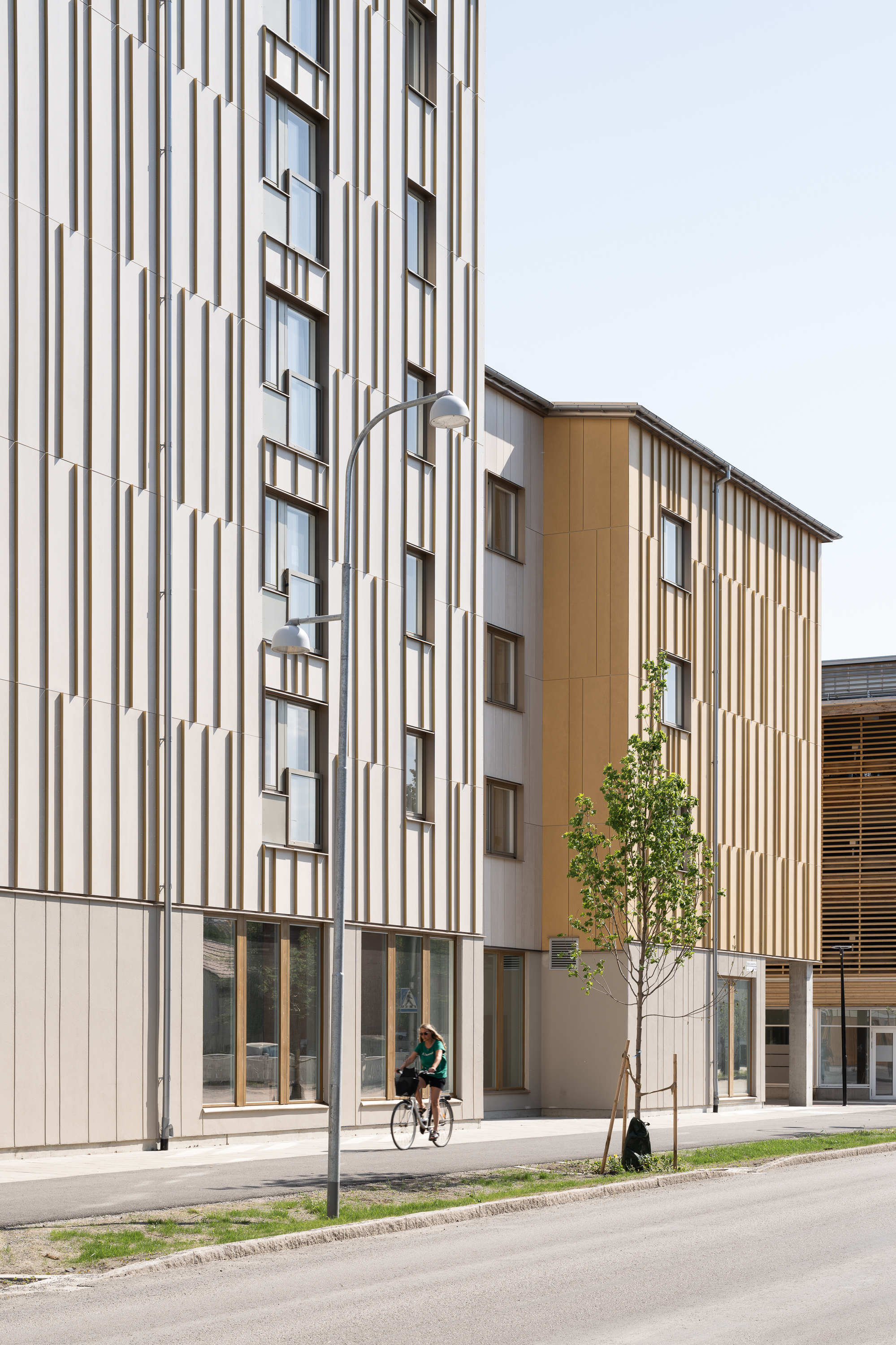 Frigg Johan Eldrot 4 (2)