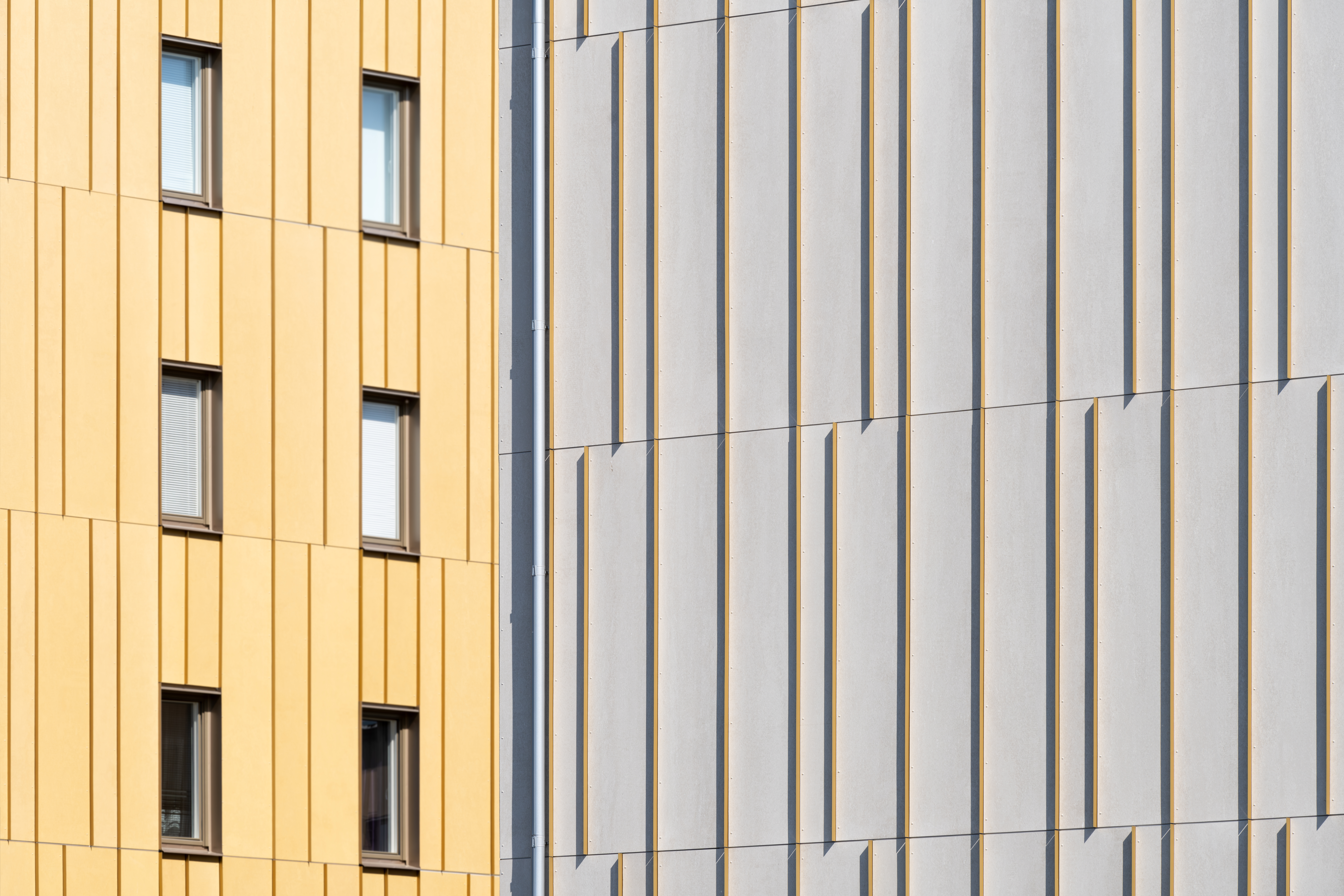 Frigg Johan Eldrot 6