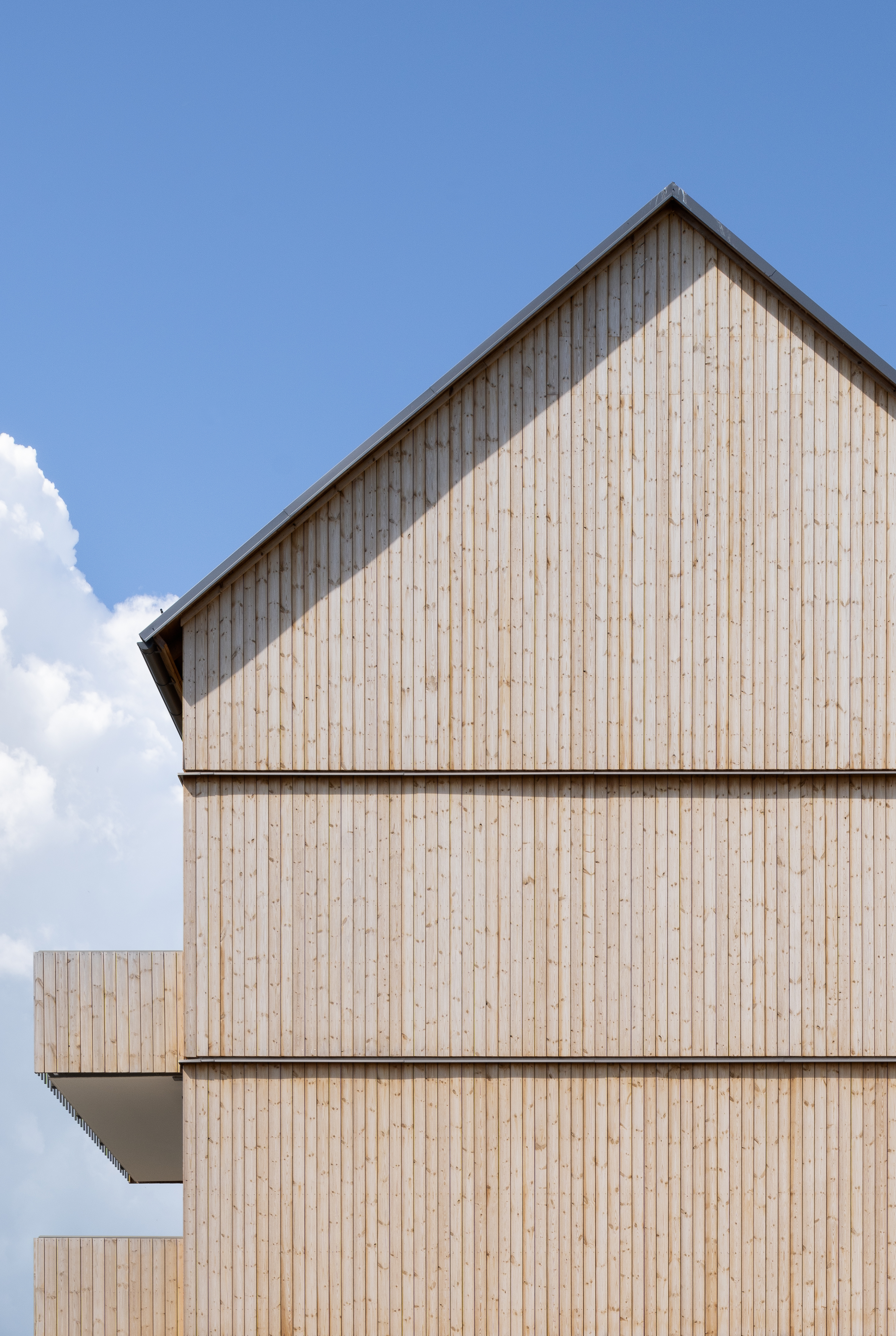 Jakten Skärm Foto Johan Eldrot 15