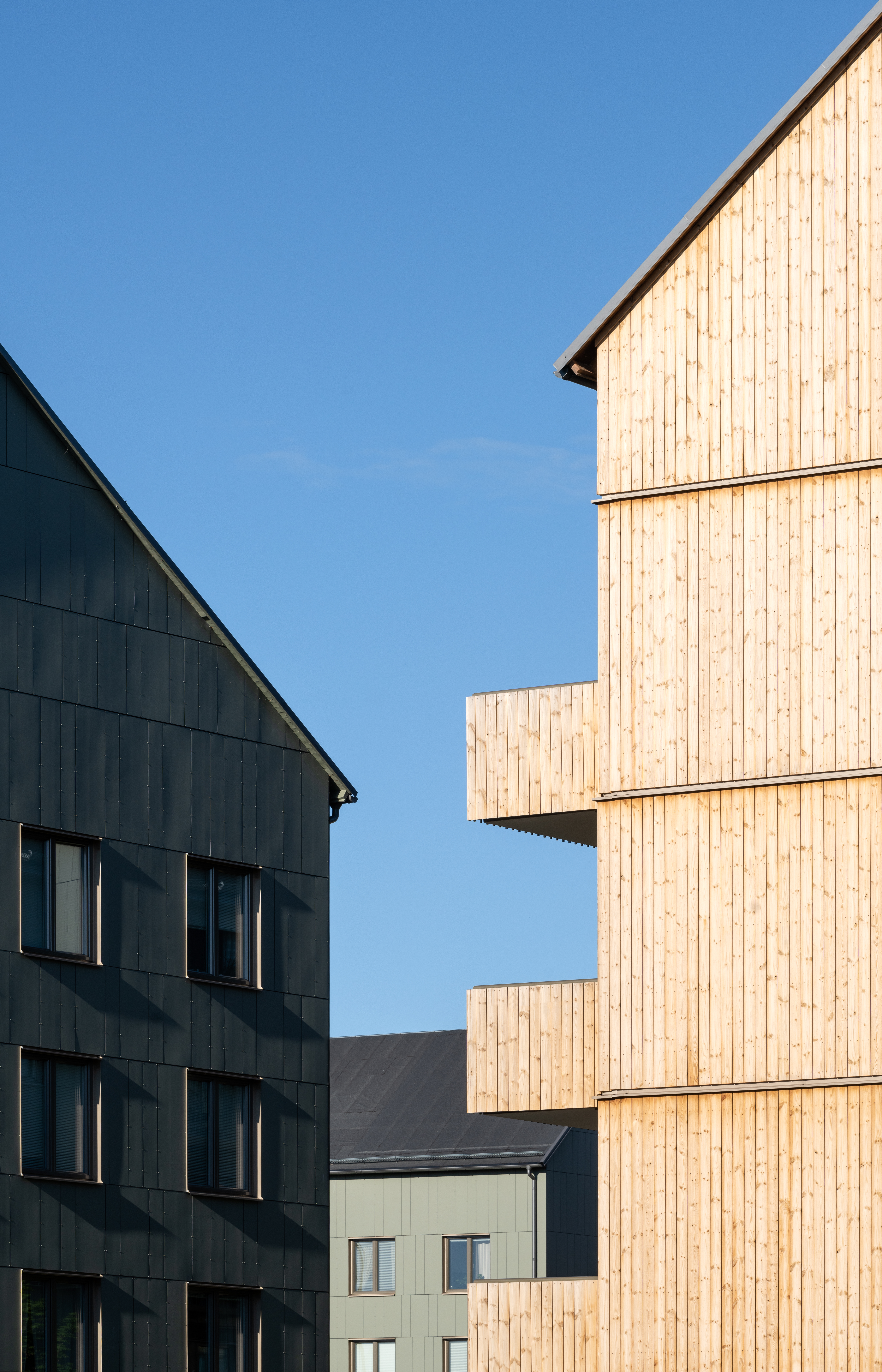 Jakten Skärm Foto Johan Eldrot 2