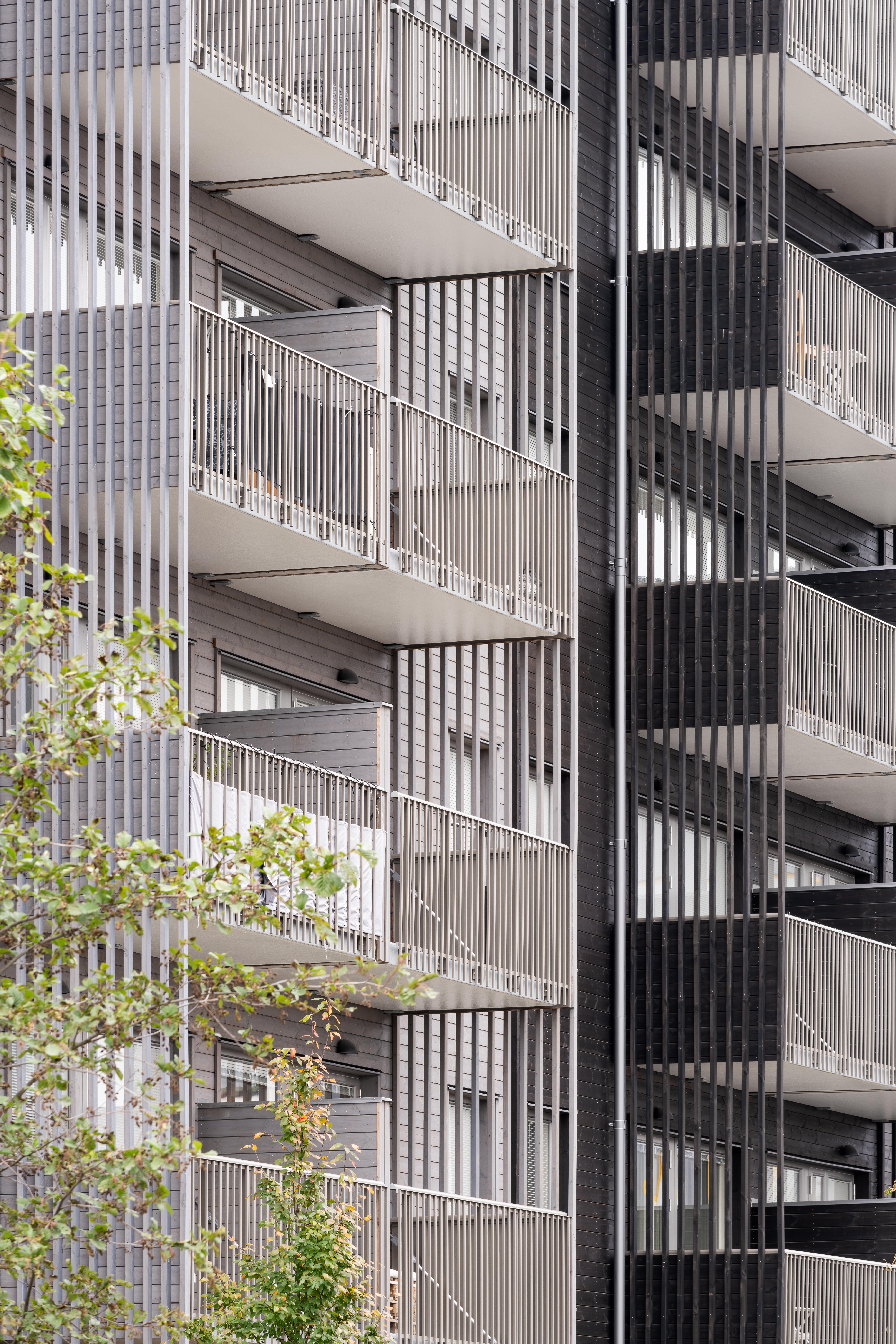 Älvdansen Johan Eldrot 2